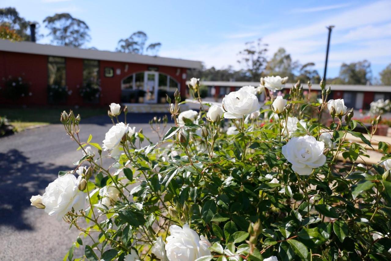 Seymour Motel Bagian luar foto