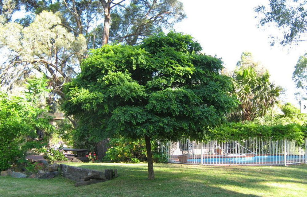 Seymour Motel Bagian luar foto